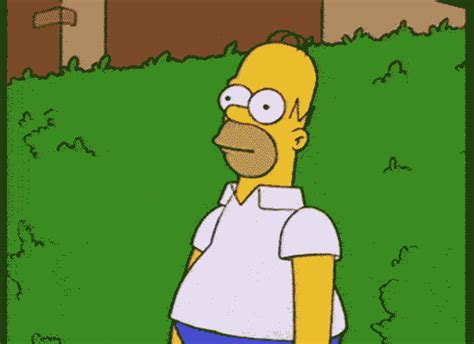 gif homer|homer meme gif.